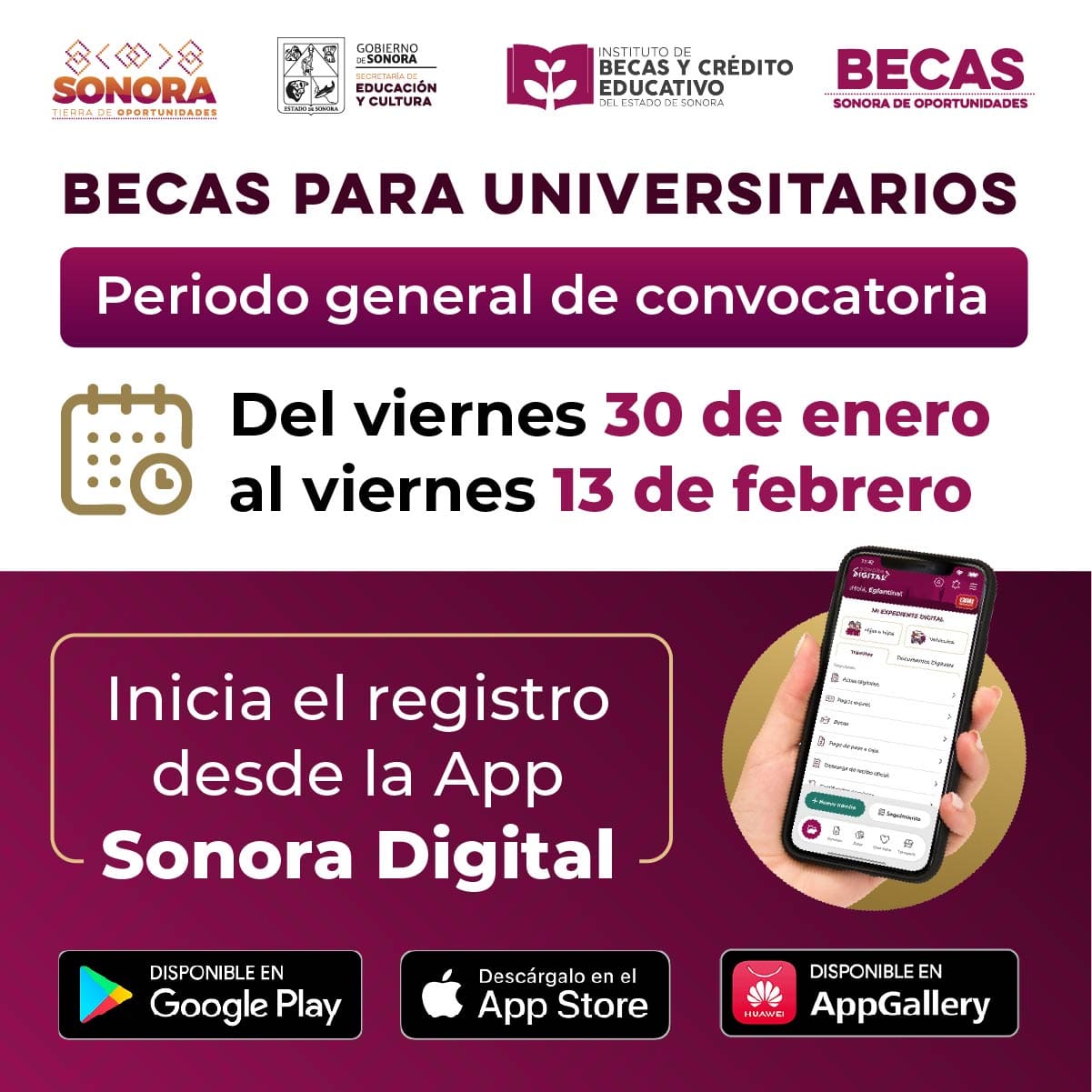 universitarios2026-1