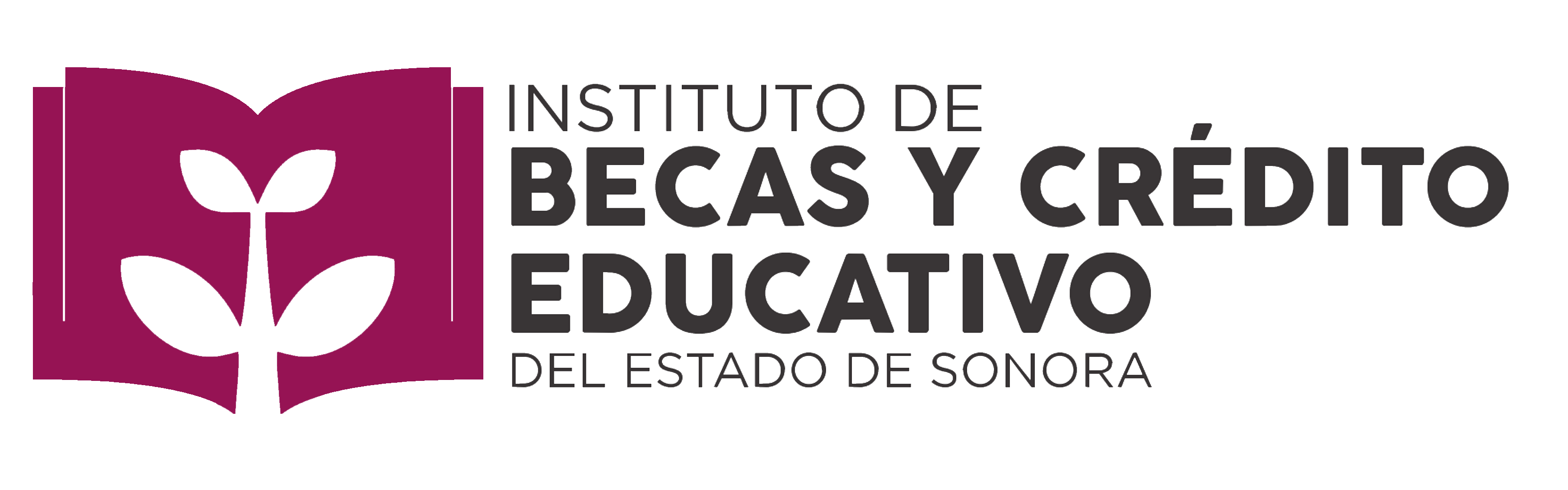 instituto-de-becas-y-cr-dito-educativo-del-estado-de-sonora-titular